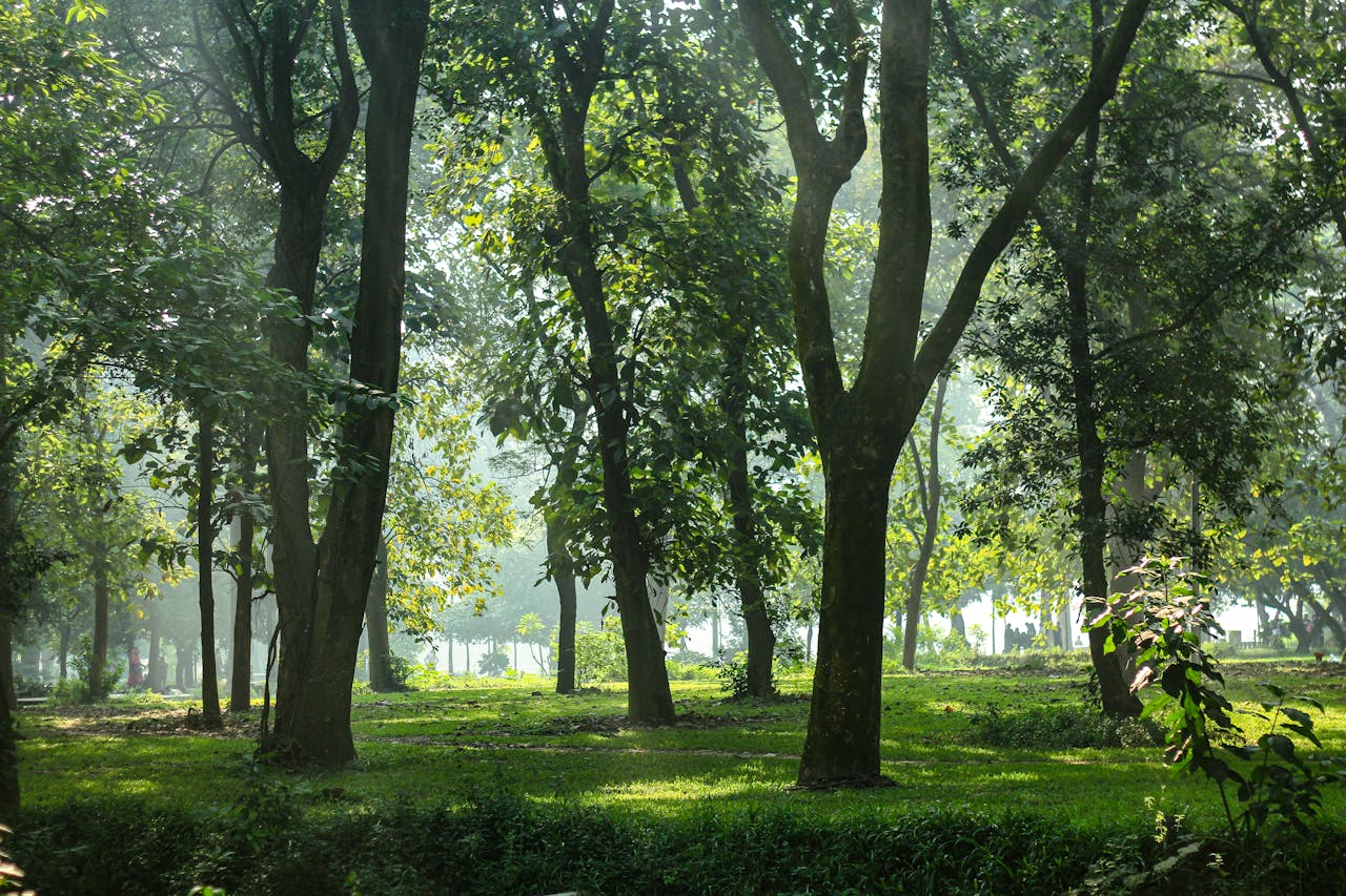 Free stock photo of aerial landscape, bangladesh, dhaka